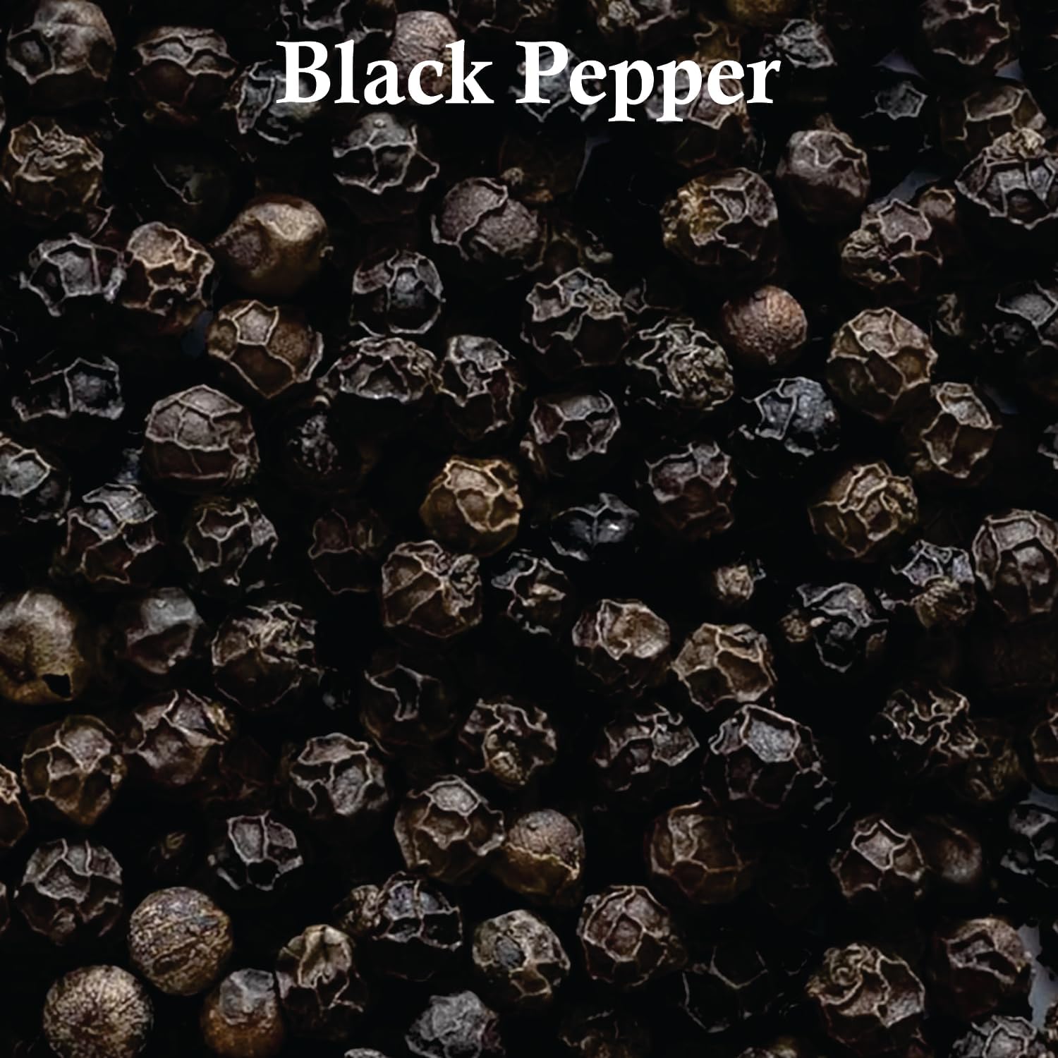 Sapphire’s Choice – Asad Zanzibar Perfume Inspired Alternative Perfume | Aswad Aqua Perfume for Men 100ml | Lavender, Vanilla and Iris Fragrance | Aswad Aqua Perfume Spray Made in India